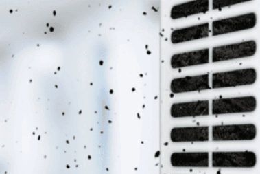 Improving Air Quality Manilta 1