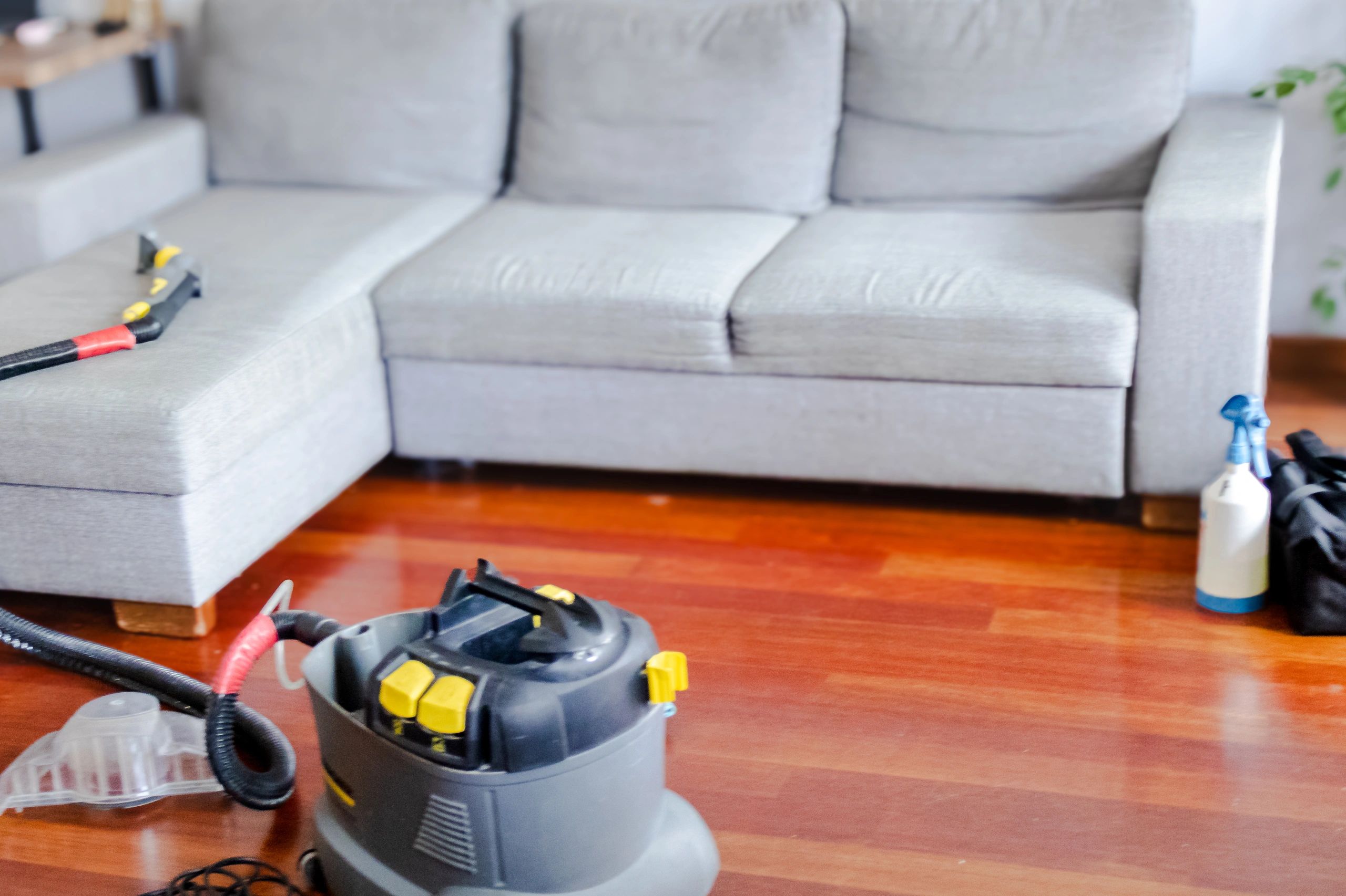 Wide view of upholstery cleaning machine beside fabric sofa in modern apartment. Professional couch cleaning service, spring deep cleaning, stain care and clean organized home concept.